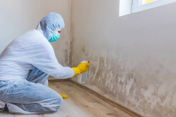 Mold Remediation specialist working in Landisburg
